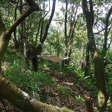 Nature Inn Madeira - Glamping Porto Moniz Kültér fotó