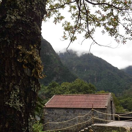 Nature Inn Madeira - Glamping Porto Moniz Kültér fotó