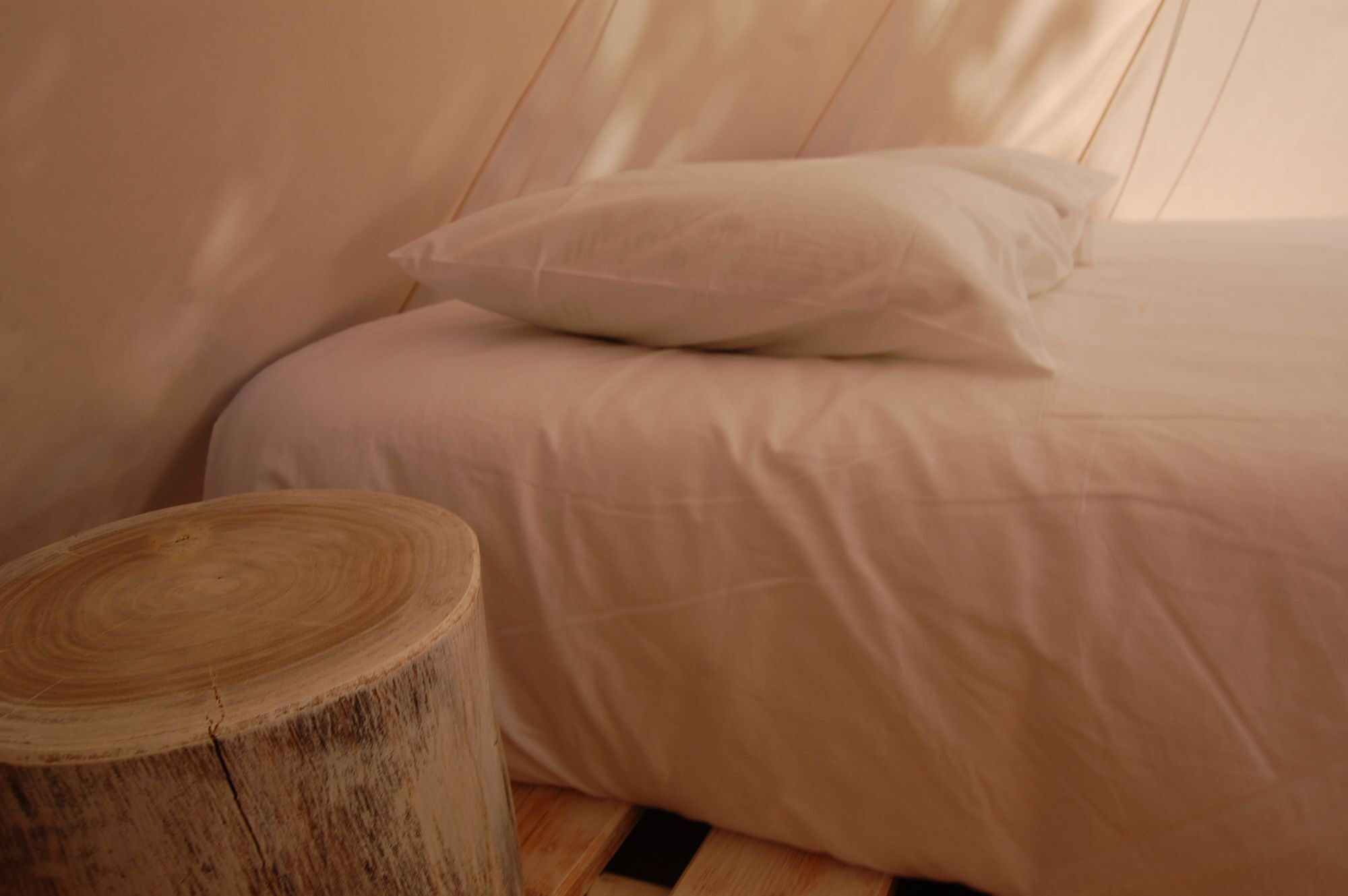 Nature Inn Madeira - Glamping Porto Moniz Kültér fotó
