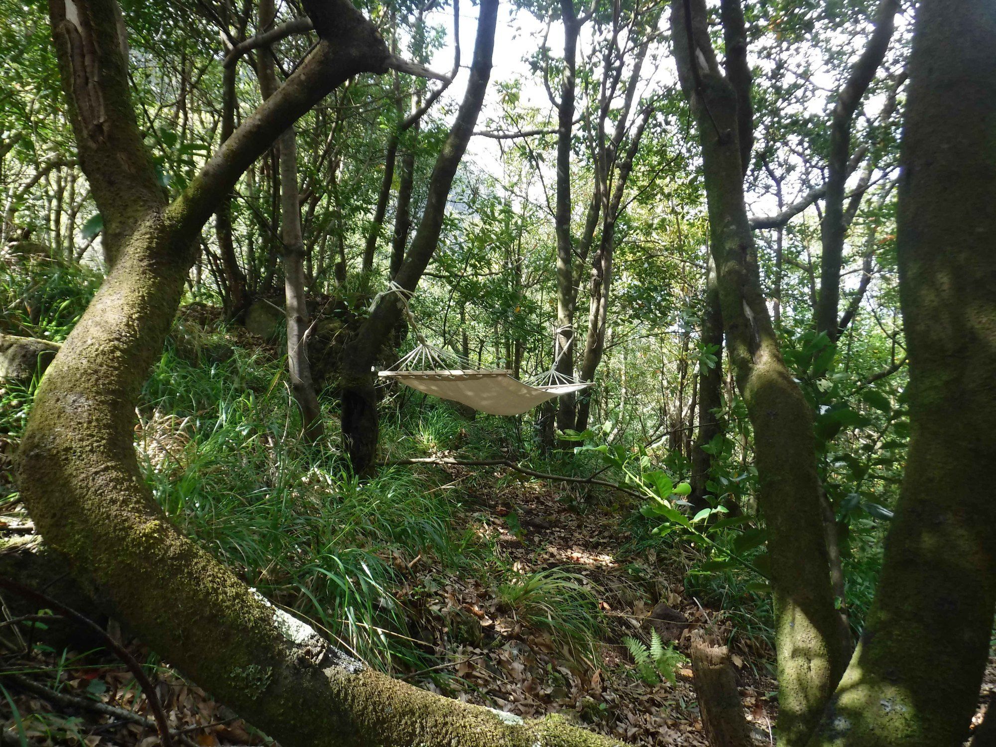 Nature Inn Madeira - Glamping Porto Moniz Kültér fotó